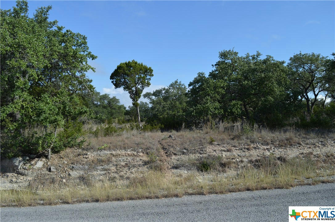 207 FLANDERS, FISCHER, TX 78623, photo 1