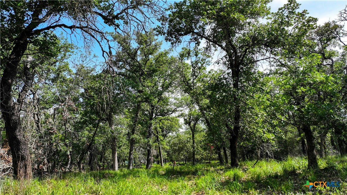 LOT 5 SANDSTONE LANE, SEGUIN, TX 78155, photo 1 of 21