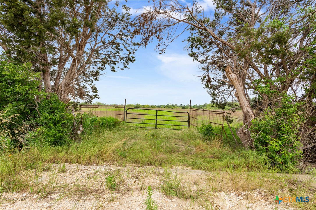 1203 COUNTY ROAD 146, GATESVILLE, TX 76528, photo 1 of 22