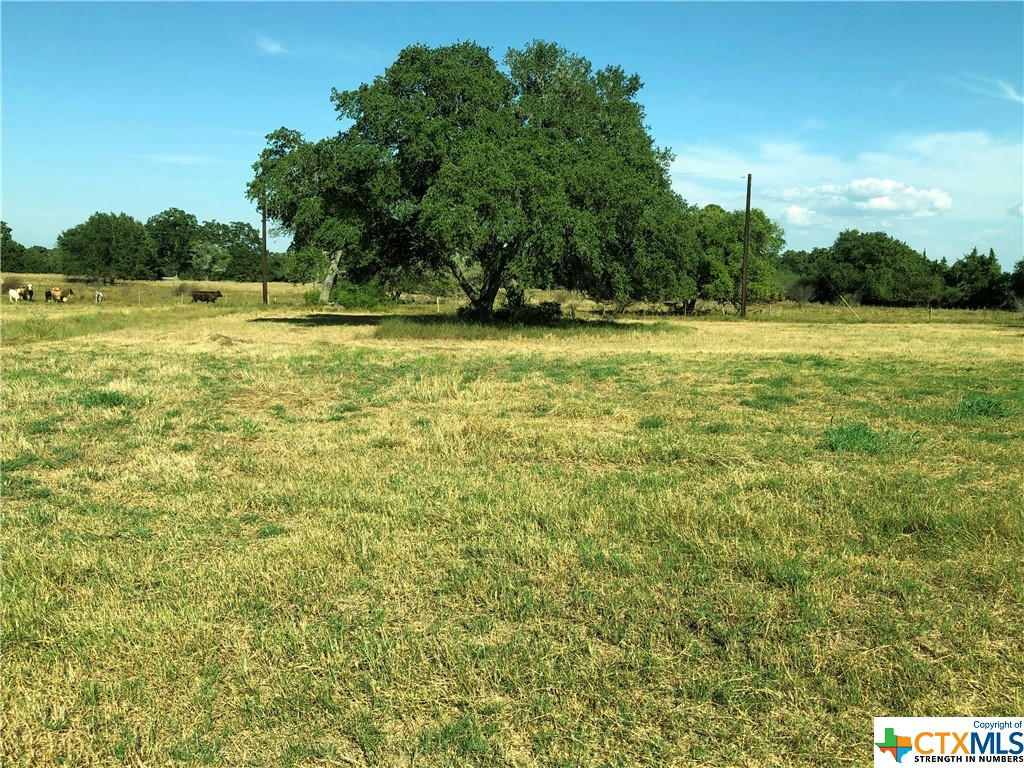 LOT 7 PVT 1672, HALLETTSVILLE, TX 77964, photo 1 of 8