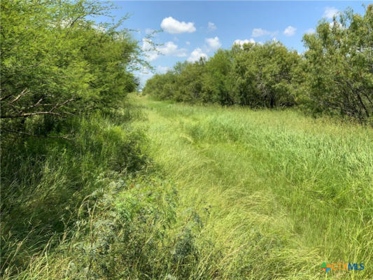 TBD CR 1144 AND CR 1196, SINTON, TX 78387, photo 2 of 28