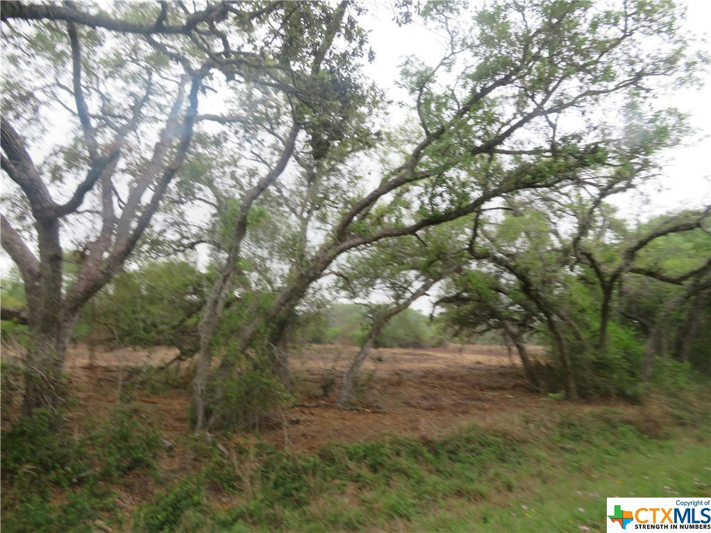 0 E OLD HWY RD, INEZ, TX 77968, photo 1 of 17