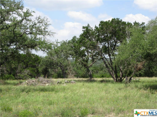 LOT 68 TORO PASS, WIMBERLEY, TX 78676, photo 5 of 16