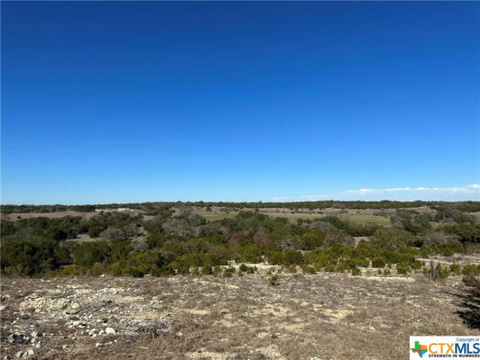 TRACT 9A-2 MILLER CREEK BLF, BRIGGS, TX 78608, photo 3 of 9