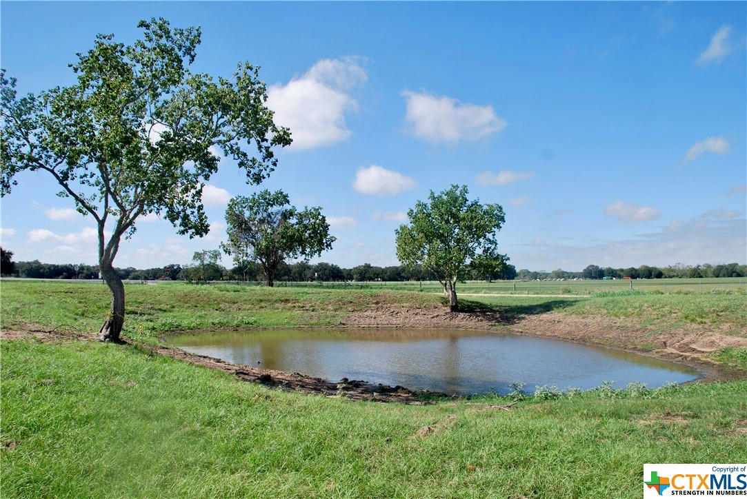 TBD COUNTY ROAD 201 & HWY 90A, HALLETTSVILLE, TX 77964, photo 1 of 21