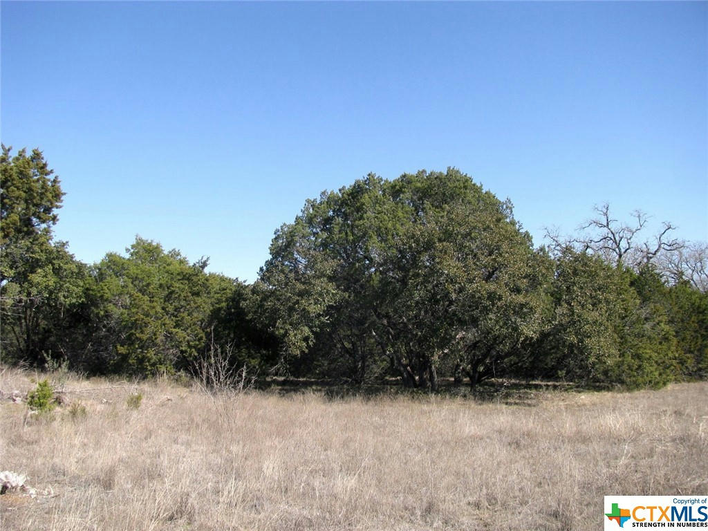 LOT 39 PH 6 PR 42103, EVANT, TX 76525, photo 1 of 17