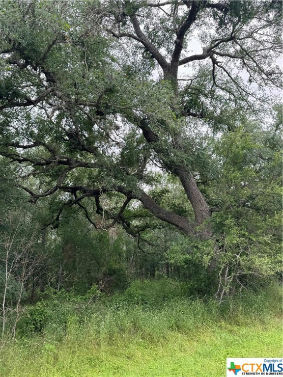 TBD COUNTY ROAD 333, SUTHERLAND SPRINGS, TX 78161, photo 1 of 19