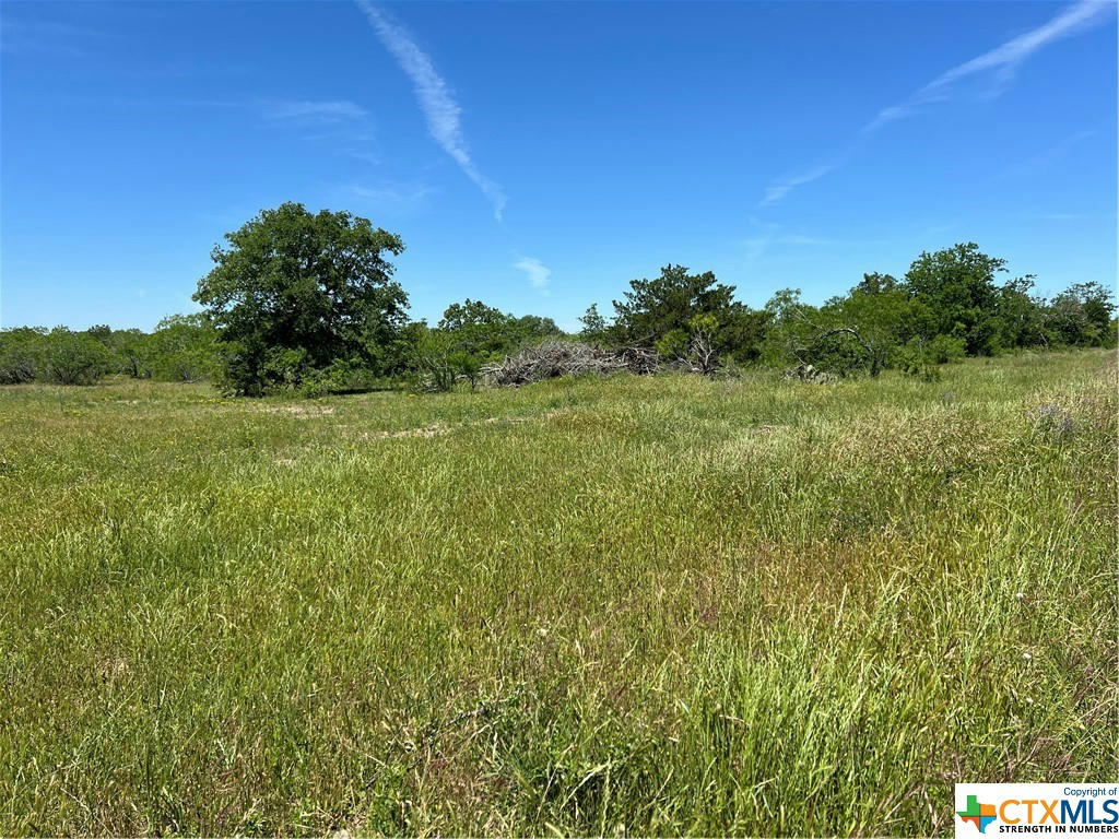TRACT 4 CR 482, GONZALES, TX 78629, photo 1 of 16